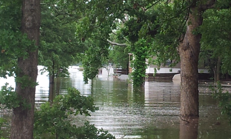 flood6.jpg