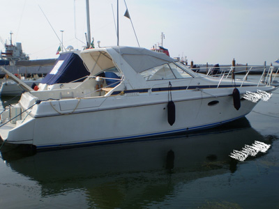 T12.jpg