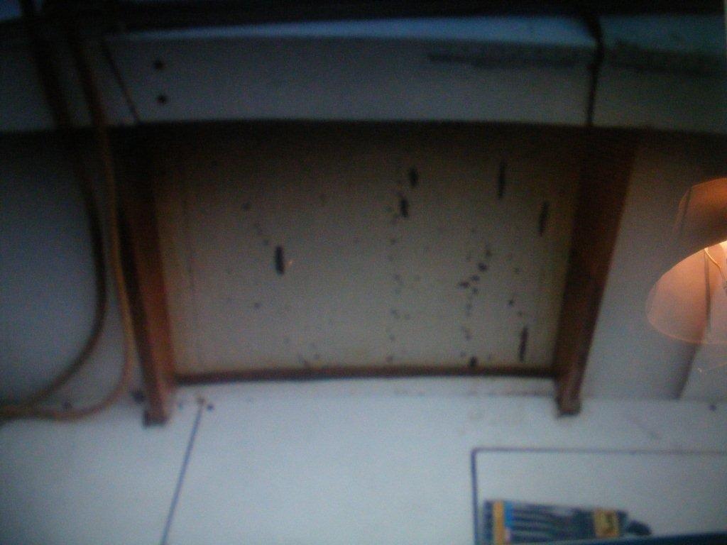 T door framing.jpg